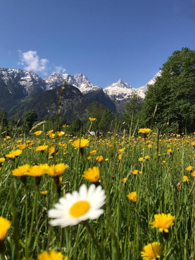 Homestay Ferienzimmer Brennerbauer