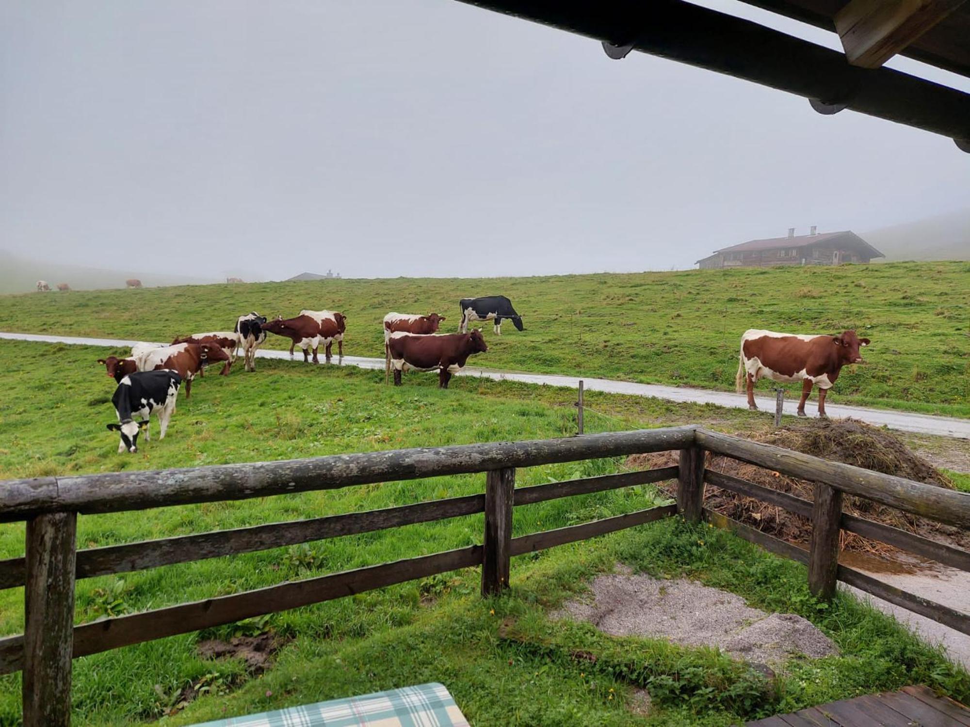 Homestay Ferienzimmer Brennerbauer Lofer